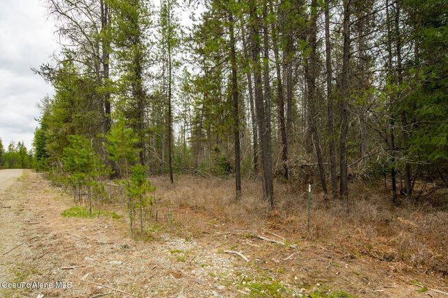 E Joyner dr & Acres Dr | Image 48