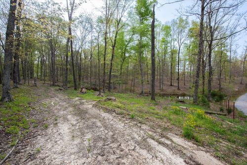 0 Norris Hollow Rd, Vanleer, TN, 37181 | Card Image