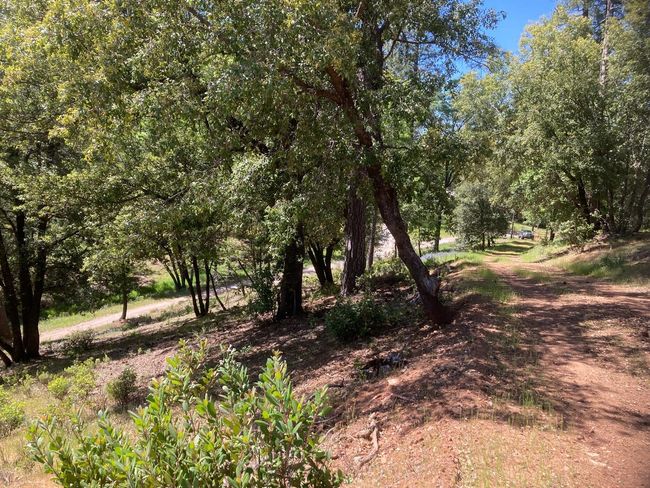 16688 Sonshine Ln, Home with 0 bedrooms, 0 bathrooms and null parking in Sutter Creek CA | Image 20