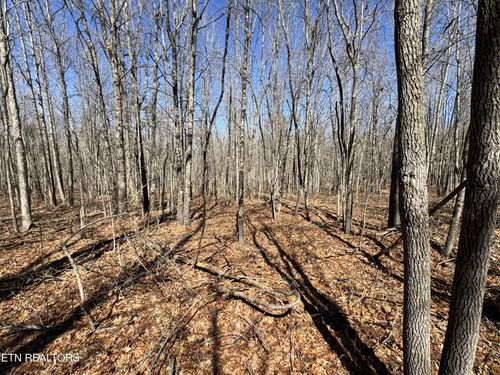 0 Veterans Lookout, Wilder, TN, 38589 | Card Image