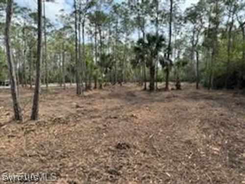 24443 Rocky Rd, BONITA SPRINGS, FL, 34135-8810 | Card Image
