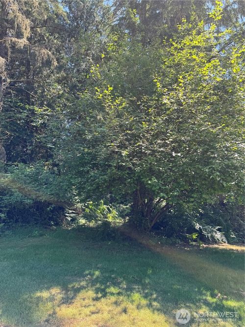 12408 93rd St, Anderson Island, WA, 98303-8723 | Card Image