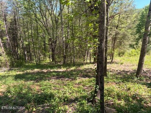 00 Bivens Ct, Niota, TN, 37826 | Card Image