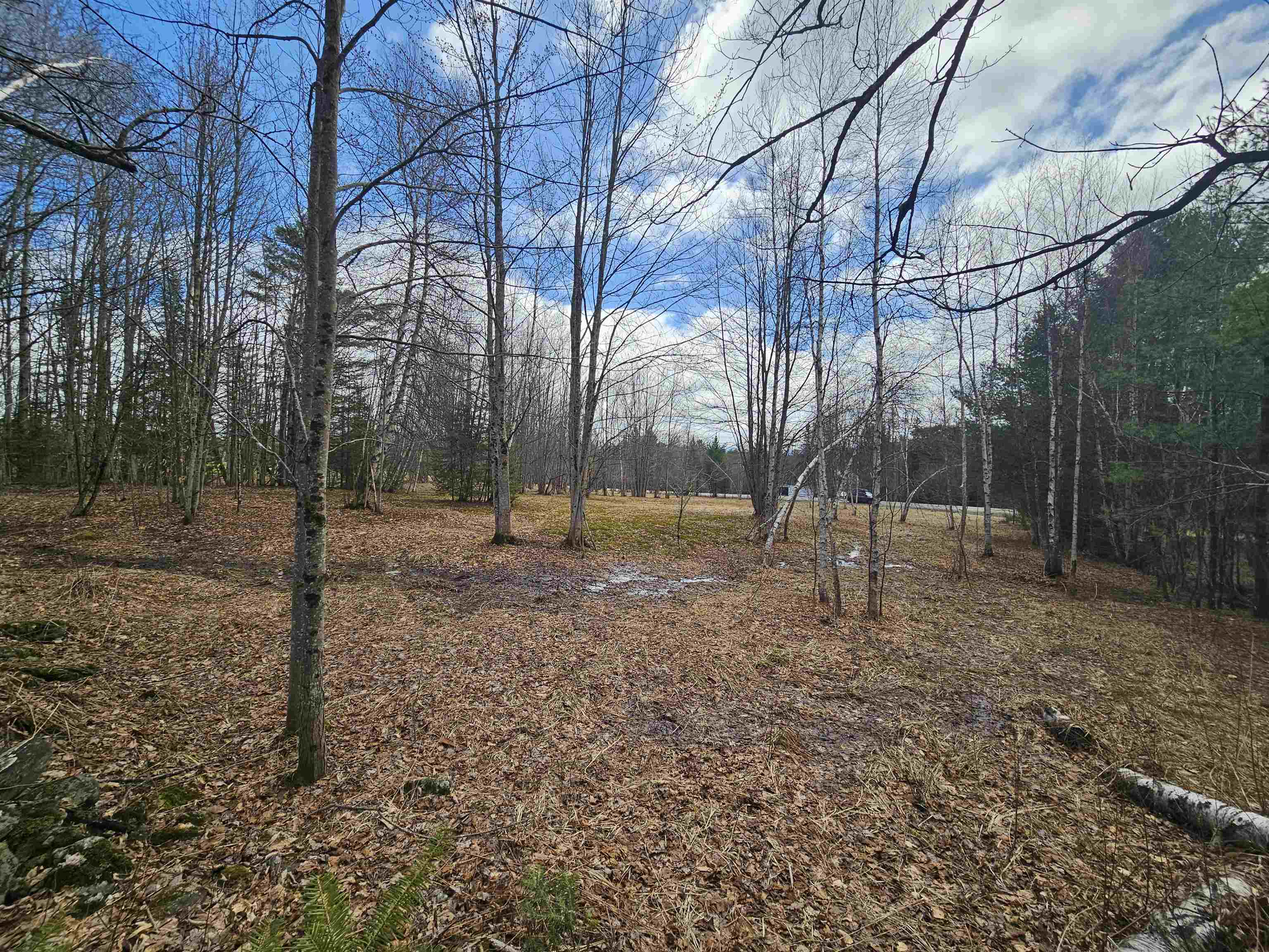 Land in Johnson 5