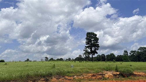 LOT 247 Meadowview, Woodville, TX, 75979 | Card Image
