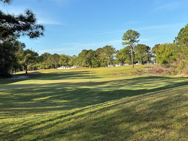 213 Eagles Way, Condo with 2 bedrooms, 2 bathrooms and 2 parking in CARRABELLE FL | Image 51