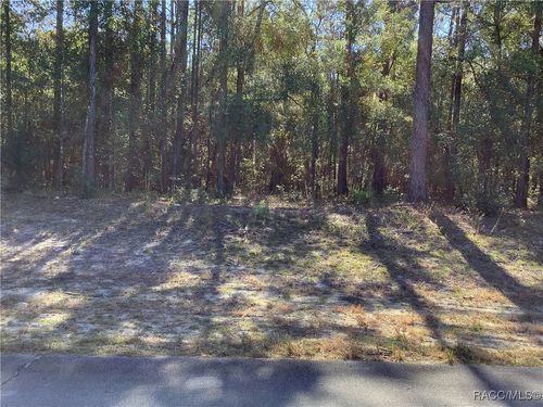 TBD Sw 89th Cir, OCALA, FL, 34481 | Card Image