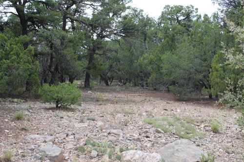 3 Manzano Loop, Tijeras, NM, 87059 | Card Image