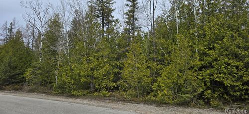 VL Lot 332 Balsam Drive, Presque Isle Township, MI, 49777 | Card Image