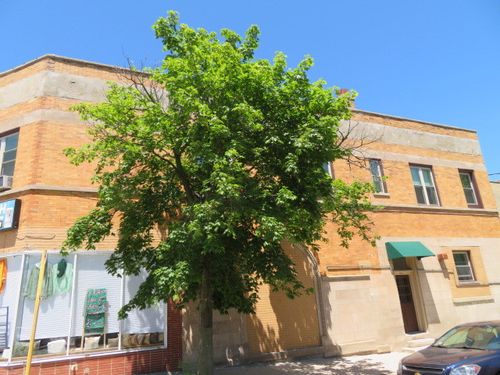 2e-1552 W Highland Ave, Chicago, IL, 60660-0123 | Card Image
