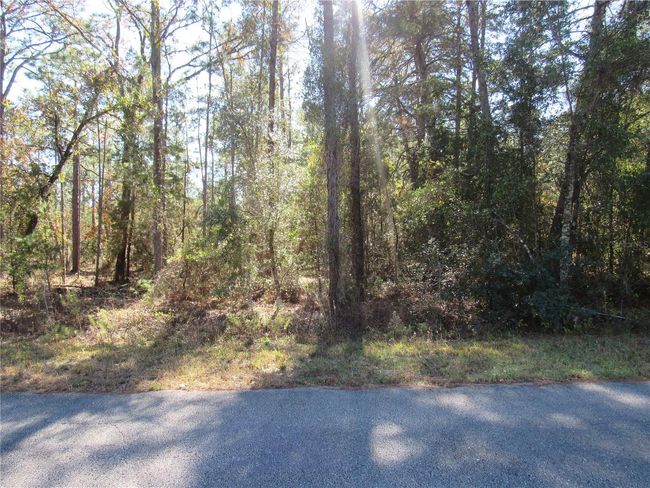 Located On Paved Road In Lovely Rainbow Lakes Estates In Dunnellon, FL..Just 25 Minutes To The New World Equestrian Center In Ocala! | Image 3
