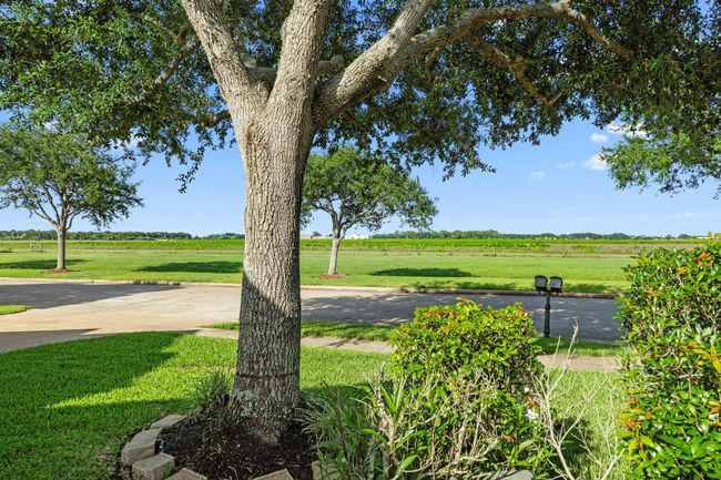14214 Ayers Rock Rd, House other with 3 bedrooms, 2 bathrooms and 2 parking in Sugar Land TX | Image 35
