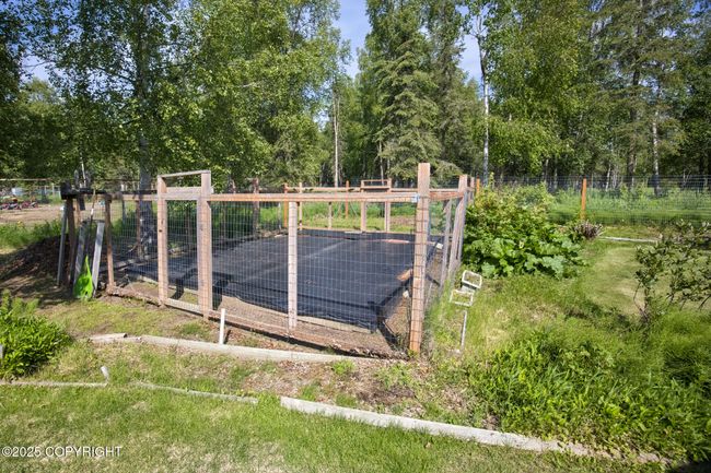 Garden in backyard | Image 16