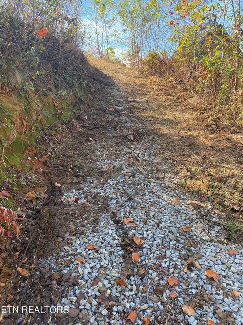 732 Hazy Cir, Gatlinburg, TN, 37738 | Card Image