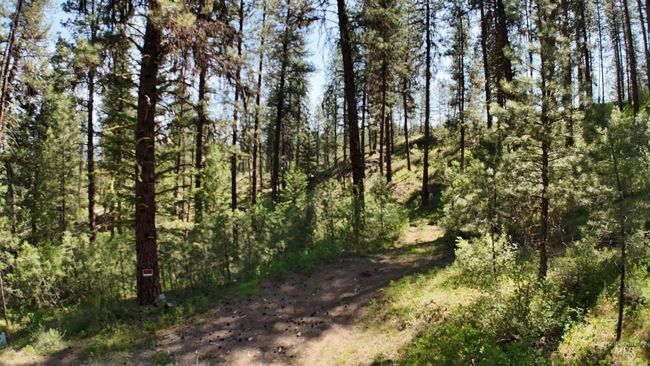 36 Meadow Lark Cir, Home with 0 bedrooms, 0 bathrooms and null parking in Idaho City ID | Image 14