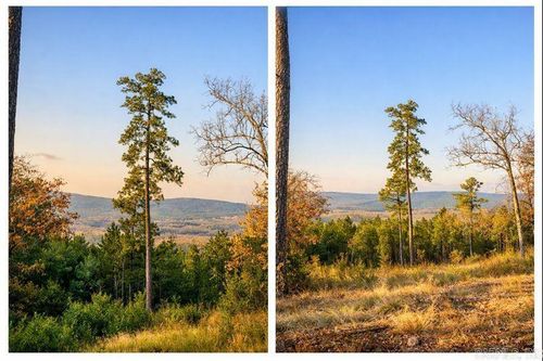 17114 Valley View Loop, Roland, AR, 72135 | Card Image