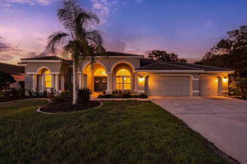 1003 Kings Way Ln, TARPON SPRINGS, FL, 34688-7653 | Card Image
