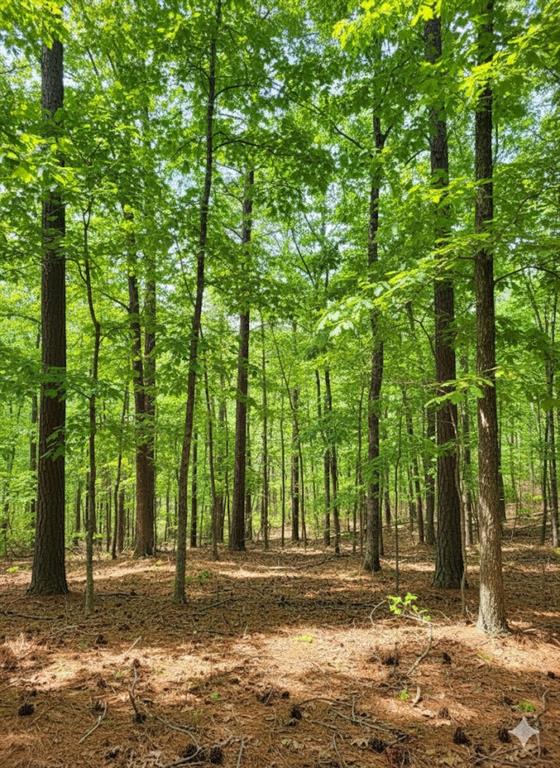 Land in Broken Bow 5
