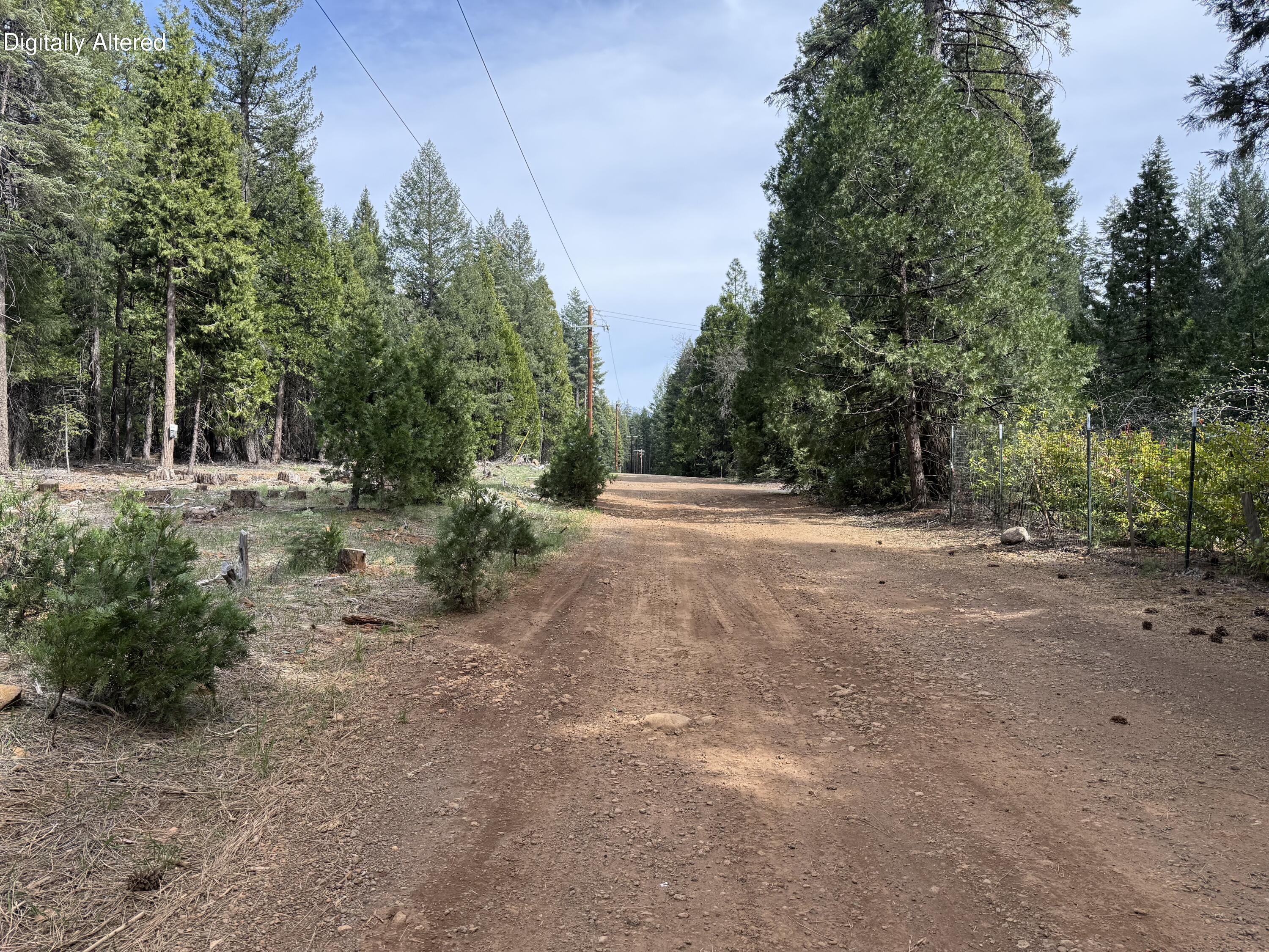 Land in Shingletown 4