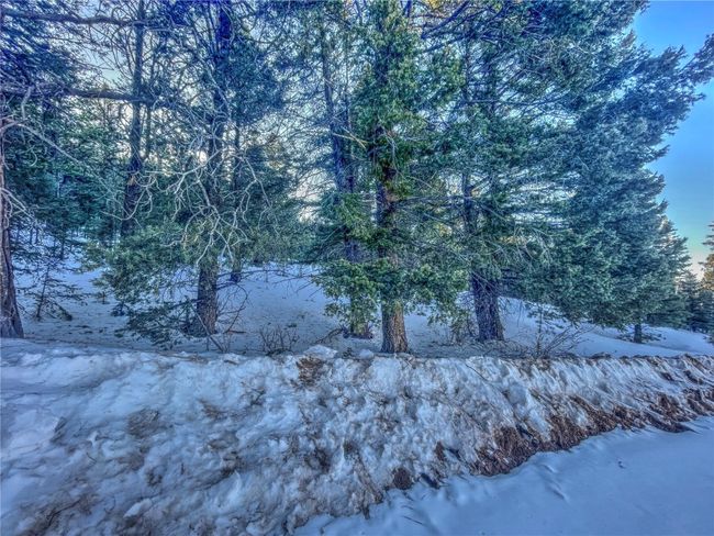 1174 Monarch Dr, Home with 0 bedrooms, 0 bathrooms and null parking in Cripple Creek CO | Image 5