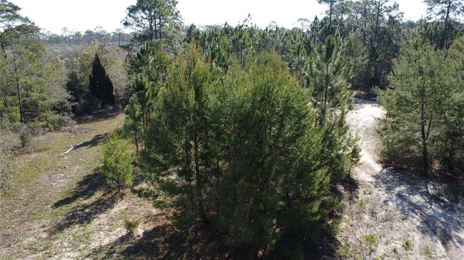 20-07S-04W-4212-0044-0080 Avenue J N, Home with 0 bedrooms, 0 bathrooms and null parking in CARRABELLE FL | Image 7