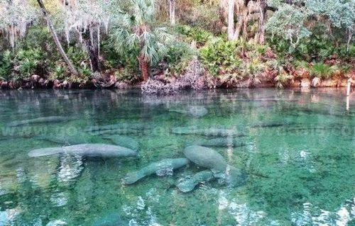 1 Werley Trail, Deland, FL, 32720 | Card Image