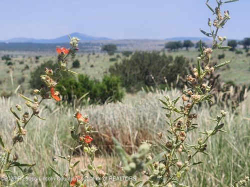 312 Windmill Rd, Ancho, NM, 88301-9058 | Card Image