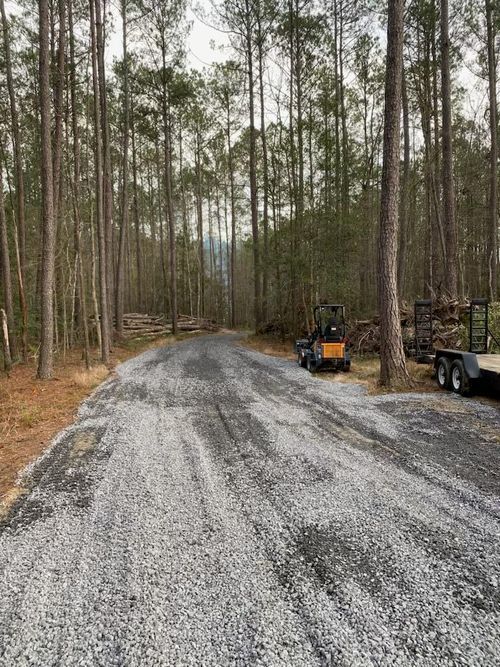 6774 Spring Grove Rd, Adams Run, SC, 29426-5062 | Card Image