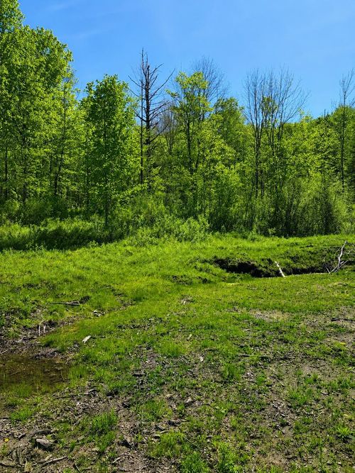 0 Blake Hill Rd, East Calais, VT, 05650 | Card Image