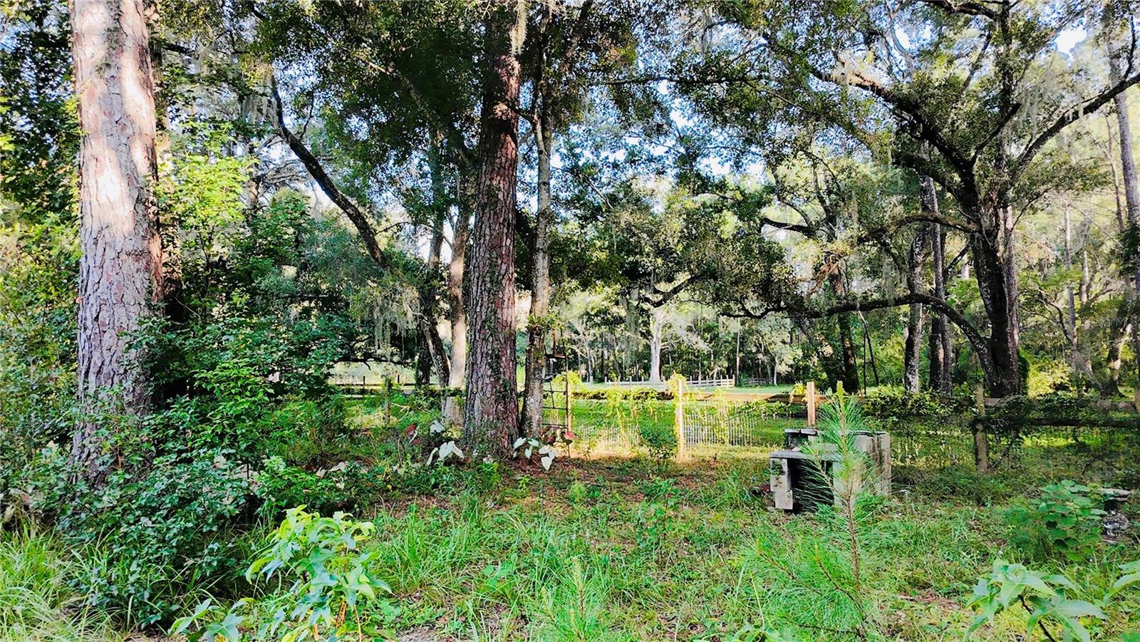 Residential in BROOKSVILLE 5