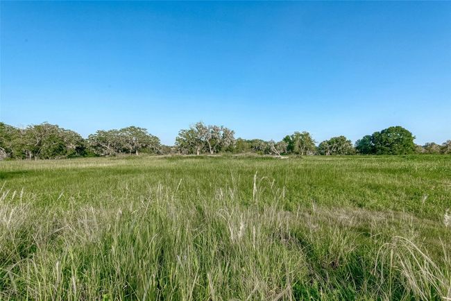 1427 Frontier Trl, Home with 0 bedrooms, 0 bathrooms and null parking in Angleton TX | Image 11