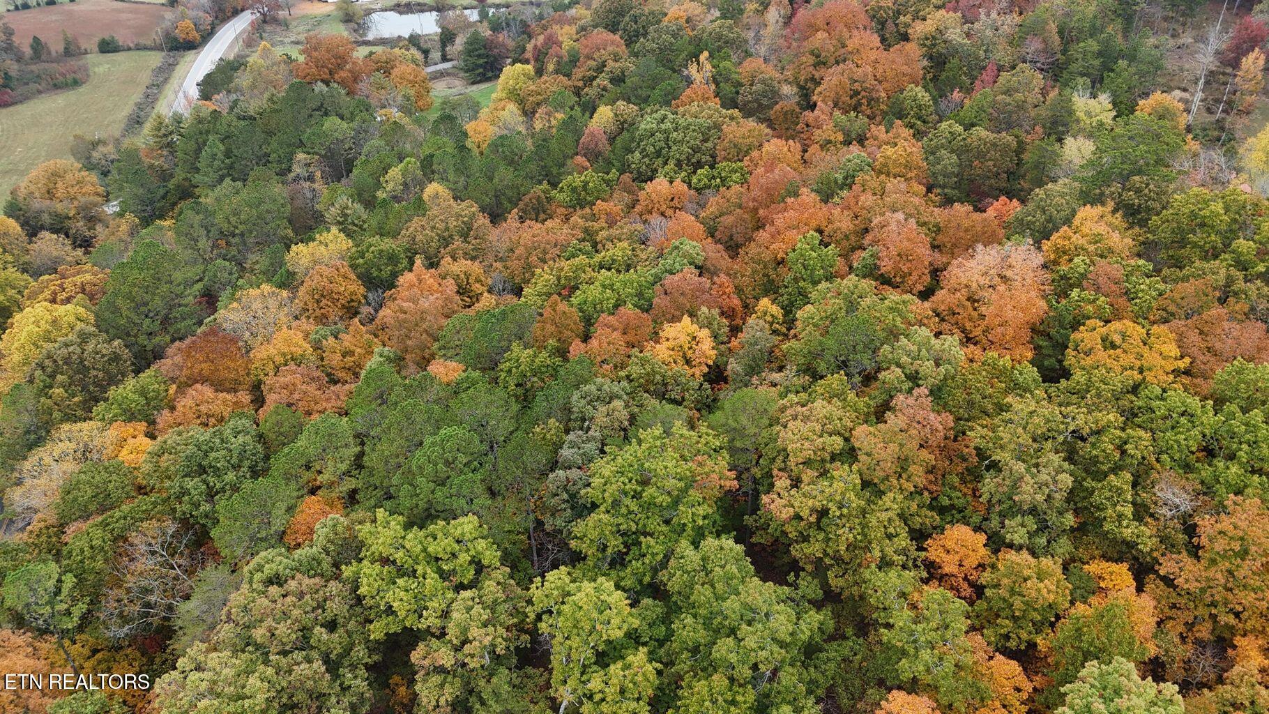 Land in Georgetown 4