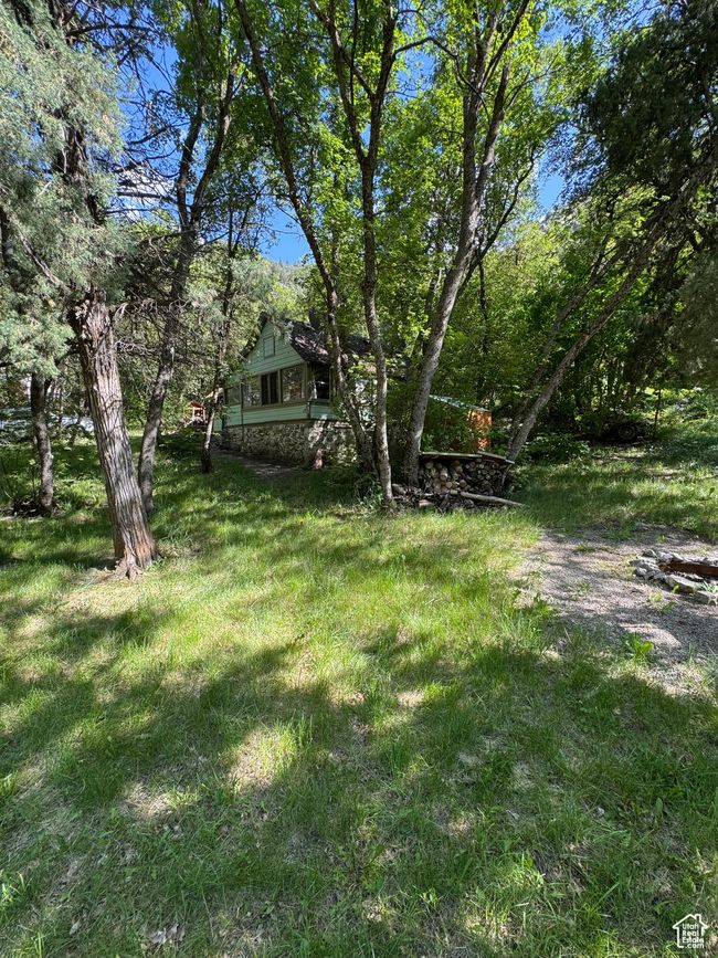 View of green lawn | Image 12