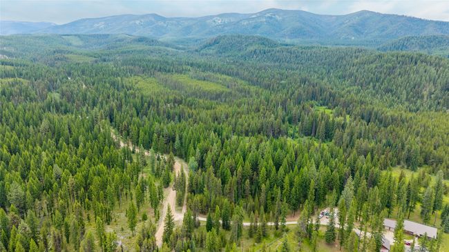 Drone / aerial view of a heavily wooded area and a mountainous background | Image 13