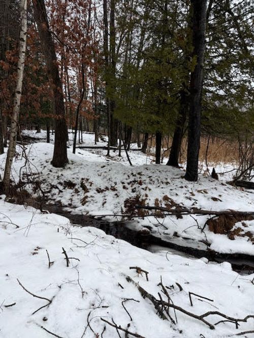 V/L 7 Mile Rd, Stanwood, MI, 49346 | Card Image