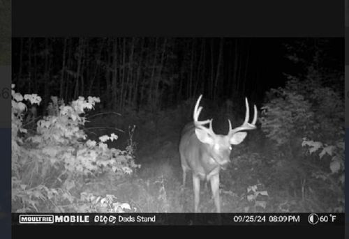 TBD Us 2, Bagley, MN, 56621 | Card Image