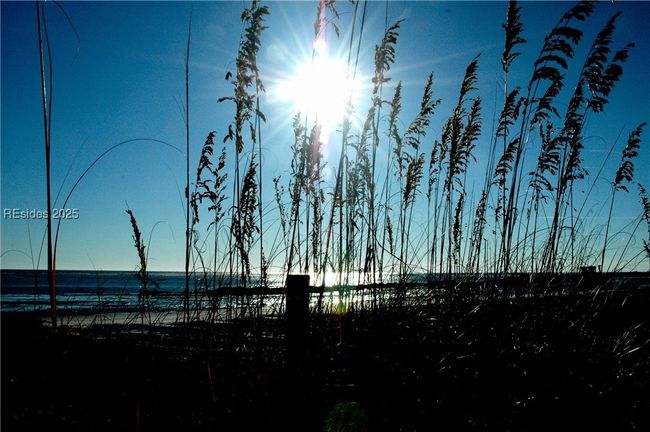 APT-1521 - 4 Indigo Run Dr, Condo with 3 bedrooms, 2 bathrooms and null parking in Hilton Head Island SC | Image 46