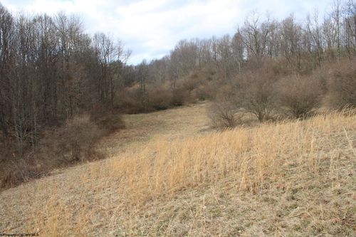 Lot 8 Cascade Rd, Masontown, WV, 26542 | Card Image
