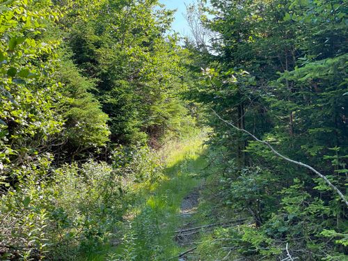 92AC Main-A-Dieu Rd, Catalone, NS, B1C1V1 | Card Image