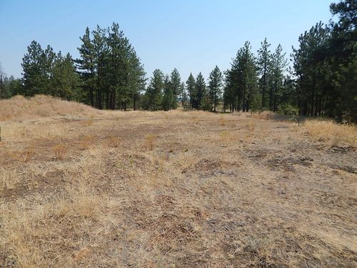 249014 W Kitt Rd, Reardan, WA, 99029 | Card Image