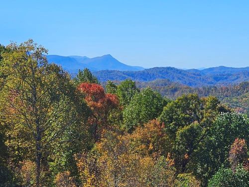 Lot#13 Mayito Ln, Mouth of Wilson, VA, 24363 | Card Image