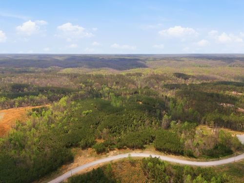 147 Starlight Dr, Linden, TN, 37096 | Card Image