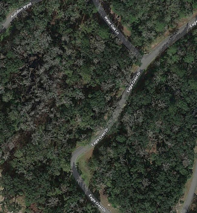 LOT 39 Eagle Crest Dr, Home with 0 bedrooms, 0 bathrooms and null parking in Waverly GA | Image 4