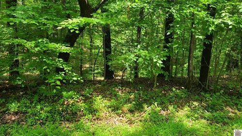 Lots 217-218 Sand Drive, Murray, KY, 42071 | Card Image