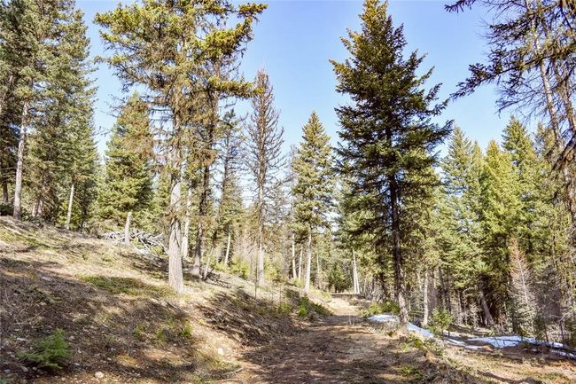 270 Tomahawk Trl, Home with 0 bedrooms, 0 bathrooms and null parking in Fortine MT | Image 9
