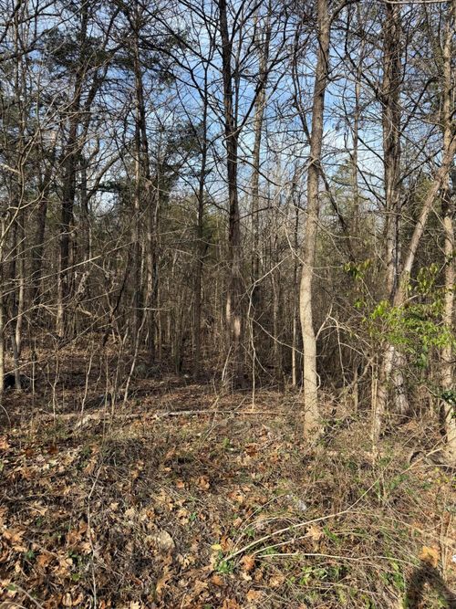 000 Public Rd, Rockaway Beach, MO, 65740 | Card Image
