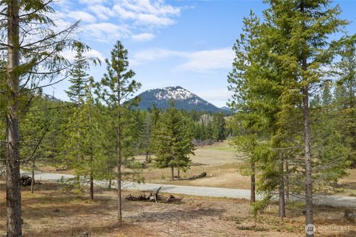 63 Liberty Bell Lane, Cle Elum, WA, 98922 | Card Image