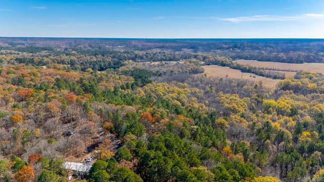001-09449-000 Prysock Road, Home with 0 bedrooms, 0 bathrooms and null parking in Benton AR | Image 4