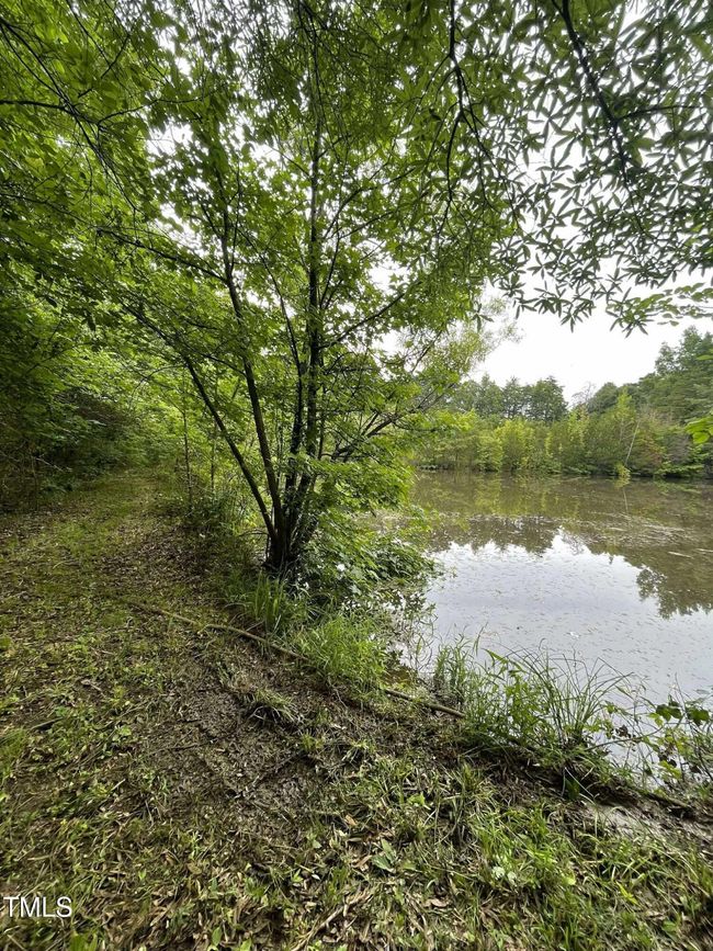 Path | Image 10