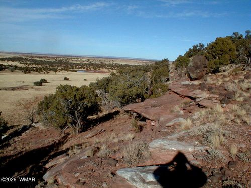 Lot 13 N8526, Concho, AZ, 85924-1585 | Card Image